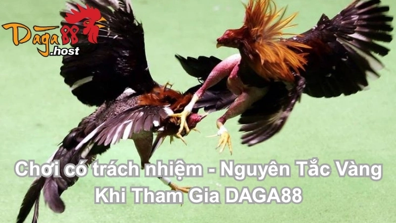 Chơi có trách nhiệm