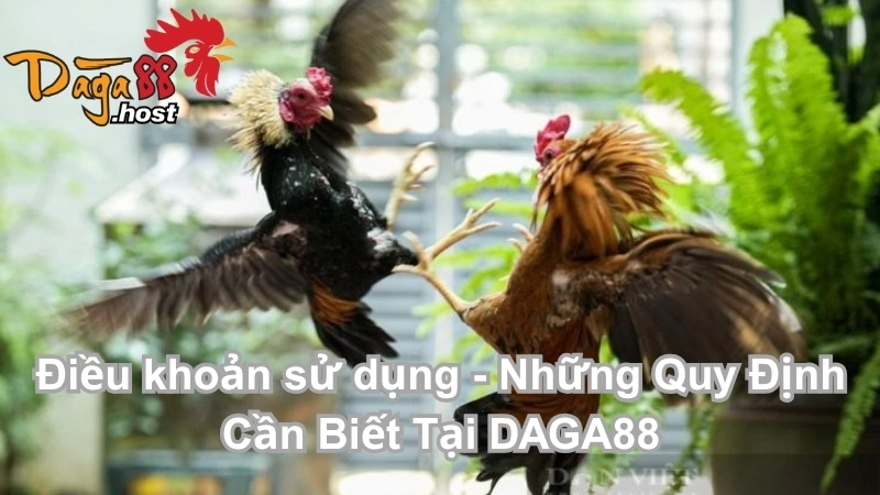 Điều khoản sử dụng