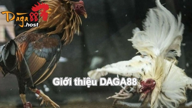 Giới thiệu DAGA88 