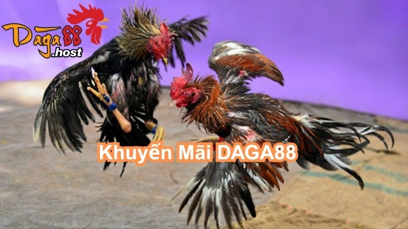 Khuyến Mãi DAGA88