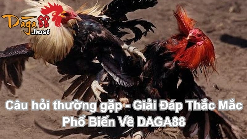 Câu hỏi thường gặp