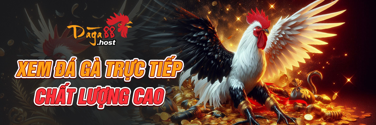 daga88 - Xem đá gà trực tiếp chất lượng cao