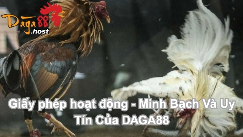 Giấy phép Hoạt Động