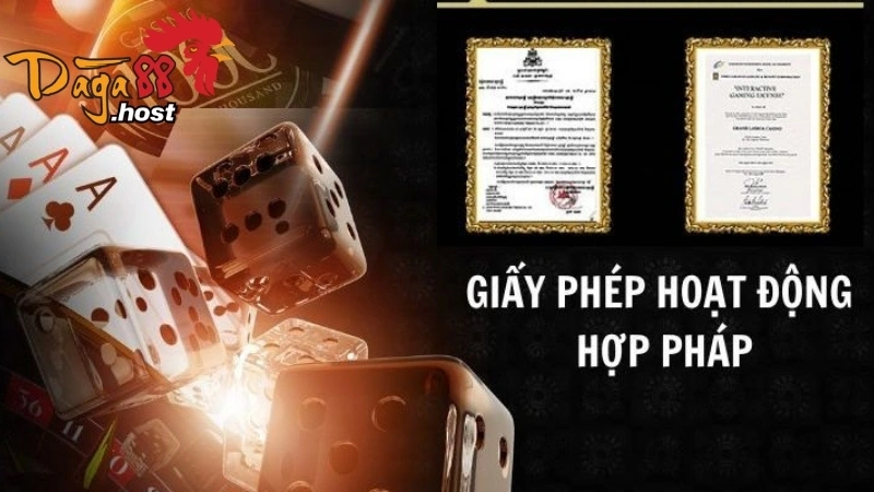 Giấy phép Hoạt Động